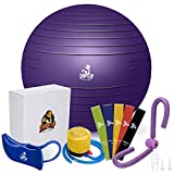 SHAPE UP Home Gym Accessories, Pilates Ball 65 inch, Thigh Master, Resistance Band, Hip Trainer & Quick Pump, Pregnancy Ball & Workout Equipment for Home Workout Set, Exercise Stability Yoga Ball
