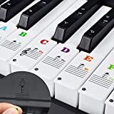 Piano Keyboard Stickers Removable for Beginners 37/49/54/61/76/88 Keys - Colored Electronic Keyboard Note Label, Transparent Big Letters Black and White Piano Key Decals, Great Help for Kids Learning