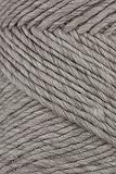 Brown Sheep - Lambs Pride Worsted Knitting Yarn - Sandy Heather (# 01)