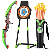 TEMI Bow and Arrow Set for Kids with LED Lights-Archery Set with 10 Suction Cup Arrows, Quivers & Standing Target, Outdoor Toys for Kids Boys & Girls Ages 3 -12 Years Old