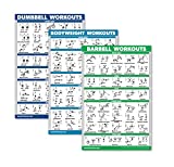 QuickFit 3 Pack - Dumbbell Workouts + Bodyweight Exercises + Barbell Routine Poster Set - Set of 3 Workout Charts (Laminated, 18' x 27')
