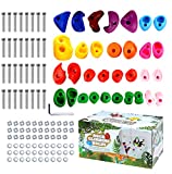 TOPNEW 32 Rock Climbing Holds Multi Size for Kids, Adult Rock Wall Holds Climbing Rock Wall Grips for Indoor and Outdoor Playground Play Set - Includes 2 Inch Mounting Hardware
