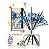 COCODOR Preserved Real Flower Reed Diffuser / Pure Cotton / 6.7oz(200ml) / 1 Pack / Reed Diffuser Set, Oil Diffuser & Reed Diffuser Sticks, Home Decor & Office Decor, Fragrance and Gifts