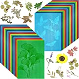 Colorful Cyanotype Papers, 36 Sheets Thick Sun Print Paper High Sensitive Nature Sun/Solar Activated Sun Printing Art Paper for Arts Crafts DIY Project, 6 Colors
