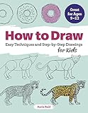 How to Draw: Easy Techniques and Step-by-Step Drawings for Kids (Drawing for Kids Ages 9 to 12)