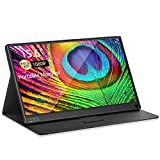 ZSCMALLS Portable Monitor 15.6 Inch Full HD Computer Display USB C Dual Monitor with Speaker, Gaming Monitor for PS3 PS4 Xbox Nintendo Raspberry pi