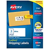 Avery Shipping Address Labels, Laser Printers, 1,000 Labels, 2x4 Labels, Permanent Adhesive, TrueBlock (5163)
