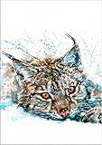 7Dots Art. Wild Animals. Watercolor Art Print, Poster 8'x12' (A4) on Fine Art Thick Watercolor Paper for Living Room, Bedroom, Bathroom, Kid's Room. Wall Art Decor with Animals. (Bobcat)