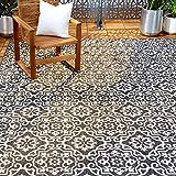 Nicole Miller New York Patio Country Danica Transitional Geometric Indoor/Outdoor Area Rug, Black/Grey, 5'2'x7'2'