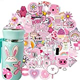 Tang Cai 110 Pcs Pink Cute Aesthetic Stickers Packs, Kawaii Random Vinyl Kids,Girls, Stickers Waterproof Decorative Vsco Decals for Laptop,Hydro Flask,Skateboard,Luggage,Gifts