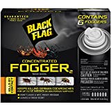 Black Flag 11079 HG-11079 6 Count Indoor Fogger, Pack of 1, Clear