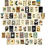 60 PCS Vintage Collection Postcard Set Retro Style Botanical Butterfly Mushroom Nature and Ephemera Postcards for DIY Card Paper