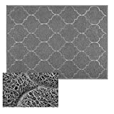 Cosyearn Large Door Mats,46x35 Inches XL Jumbo Size Outdoor Indoor Entrance Doormat, Waterproof, Easy Clean, Entryway Rug,Front Doormat Inside Outside Non Slip (Grey)