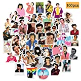 100Pcs Singer Waterproof Vinyl Stickers Decals for Laptop Water Bottle Bike Skateboard Luggage Computer Hydro Flask Toy Phone Snowboard. DIY Decoration as Gifts for Kids Girls Teens