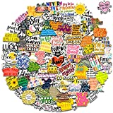 100pcs Inspirational Stickers for Laptop, Reward Motivational Stickers for Teens Adults Students Teachers Planners Employees, Waterproof Vinyl Positive Sticker for Water Bottles, Scrapbook, Journal