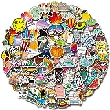 100 PCS Water Bottle Stickers, Laptop Vinyl Cute Waterproof Skateboard Scrapbook Vsco Stickers Aesthetic Car Decals Computer Hydroflask Stickers for Adults Teens Kids, Sticker Packs