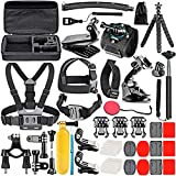 NEEWER 50 in 1 Action Camera Accessory Kit Compatible with GoPro Hero 11 10 9 8 7 6 5 4 GoPro Max GoPro Fusion Insta360 DJI Osmo Action Action 2 AKASO, and more