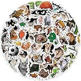 50 Real Animal Stickers Pack 3D Visual Effects Sticker Animal Decals for Water Bottle Laptop Skateboard Computer Phone Bumper for Waterproof Stickers Kids Teens Adults