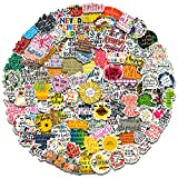 100 Pcs Inspirational Words Stickers for Motivational Quote Stickers for Teens and Adults Trendy Vinyl Positive Sticker for Water Bottles Book Laptop