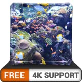 FREE Aquatic Beauty HD - Decorate your room with beautiful sea life aquarium on your HDR 4K TV, 8K TV and Fire Devices as a wallpaper & Theme for Mediation , Decoration for Christmas Holidays & Peace
