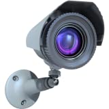Viewer for Swann IP cameras
